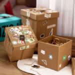 Labubu Mystery Gift box